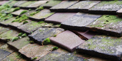 Benwick roof repair costs